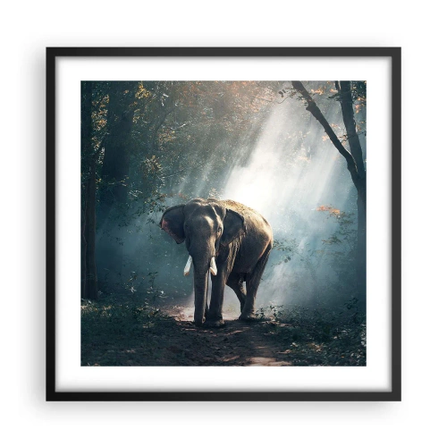 Plakat w czarnej ramie - Spokojna przechadzka - 50x50 cm