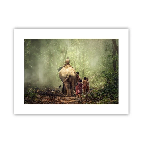 Plakat - Nowa Księga Dżungli - 40x30 cm