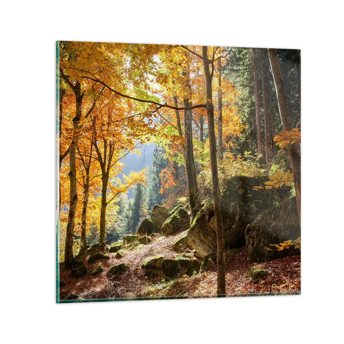 Obraz na szkle - Czas na odpoczynek - 70x70 cm