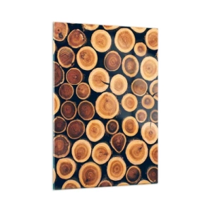 Obraz na szkle - Widok na ścięte pnie drzew ułożone w rzędzie - 50x70cm - Na ile lat wyglądam? - Nowoczesna dekoracja ścienna do salonu, kuchni i sypialni ARTTOR