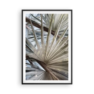 Plakat w czarnej ramie - Wachlarze w tropikach - 61x91 cm