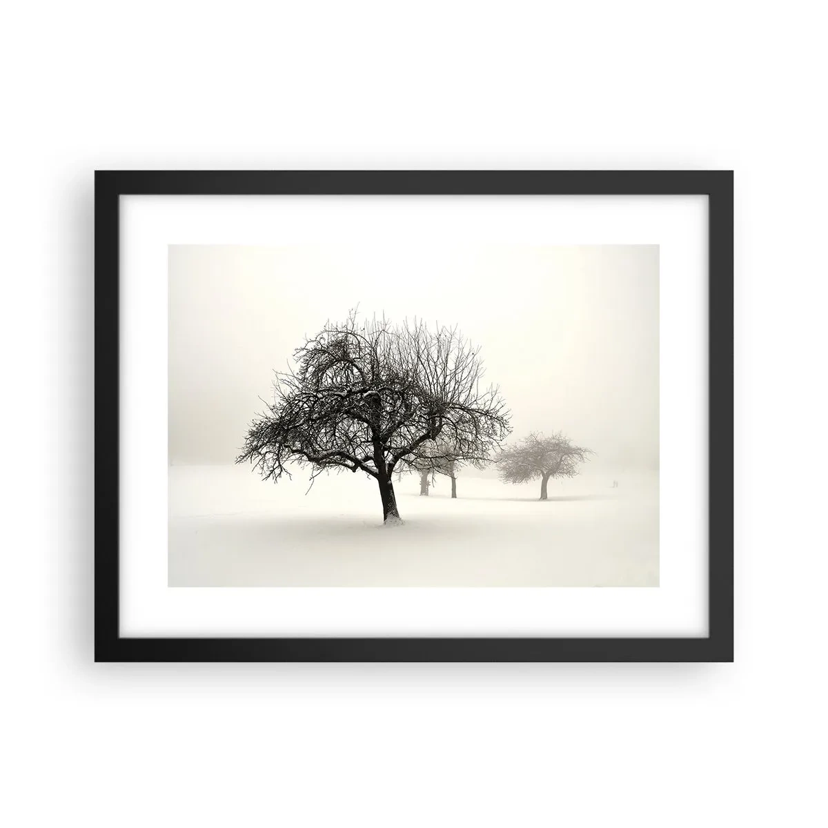 Plakat w czarnej ramie - Zimowy sen - 40x30 cm