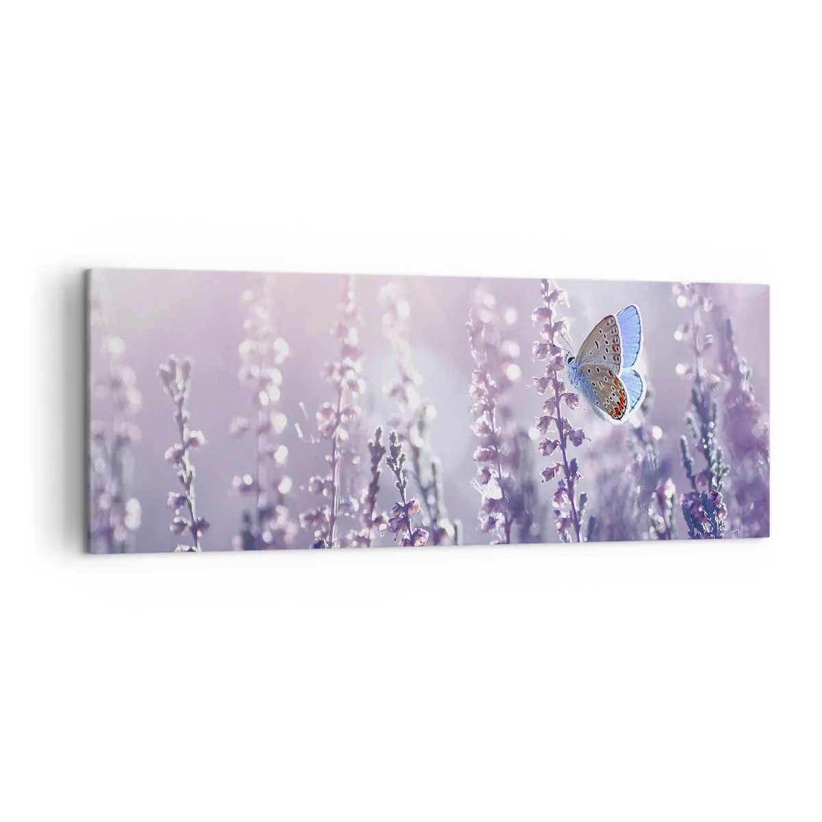 Obraz na płótnie - Motyl na kwitnącej lawendzie w świetle poranka - 140x50cm - Pocałunek motyla - Nowoczesna dekoracja ścienna do salonu i sypialni ARTTOR