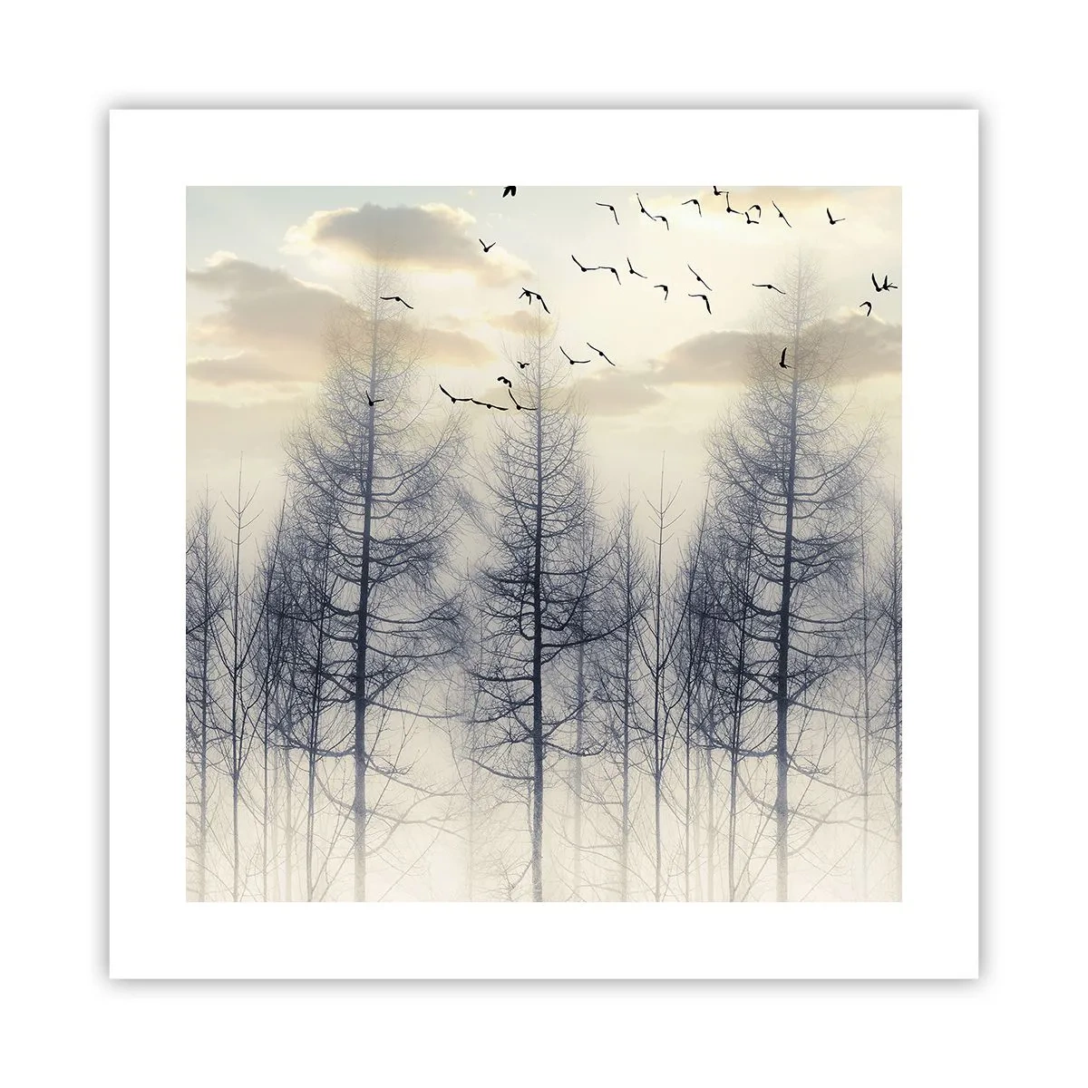 Plakat - Duchy lasu - 40x40 cm