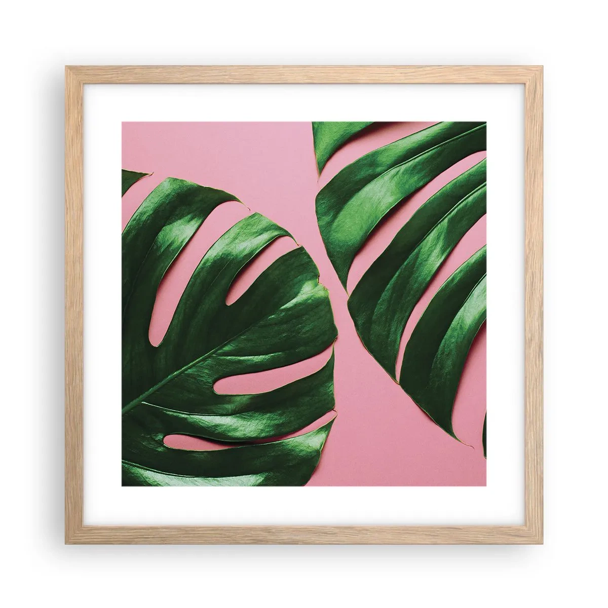 Plakat w ramie jasny dąb - Zielone rendez-vous - 40x40 cm