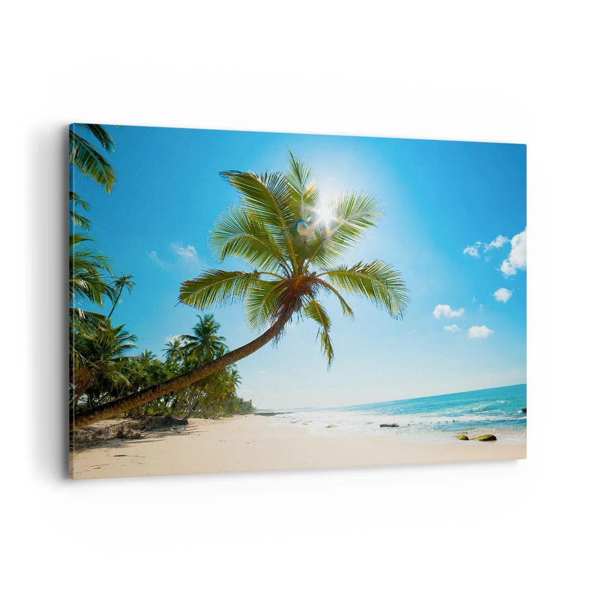 Obraz na płótnie - Plaża z palmami w tropikalnym krajobrazie - 120x80cm - Nie pokazywać nikomu - Nowoczesna dekoracja ścienna do salonu, kuchni i sypialni ARTTOR