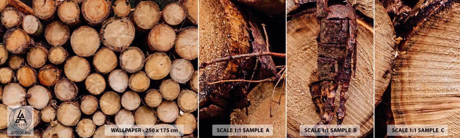 Fototapeta Próbka Samoprzylepna Deluxe Sticker - Nowy początek - Drewno, Kłody Drewna, Natura - 100x30 cm