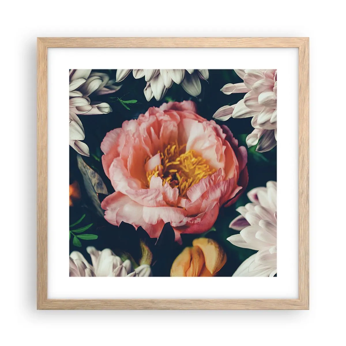 Plakat w ramie jasny dąb - Z barokowym przepychem - 40x40 cm