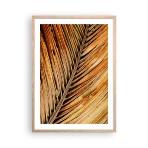 Plakat w ramie jasny dąb - Kokosowe złoto - 50x70 cm