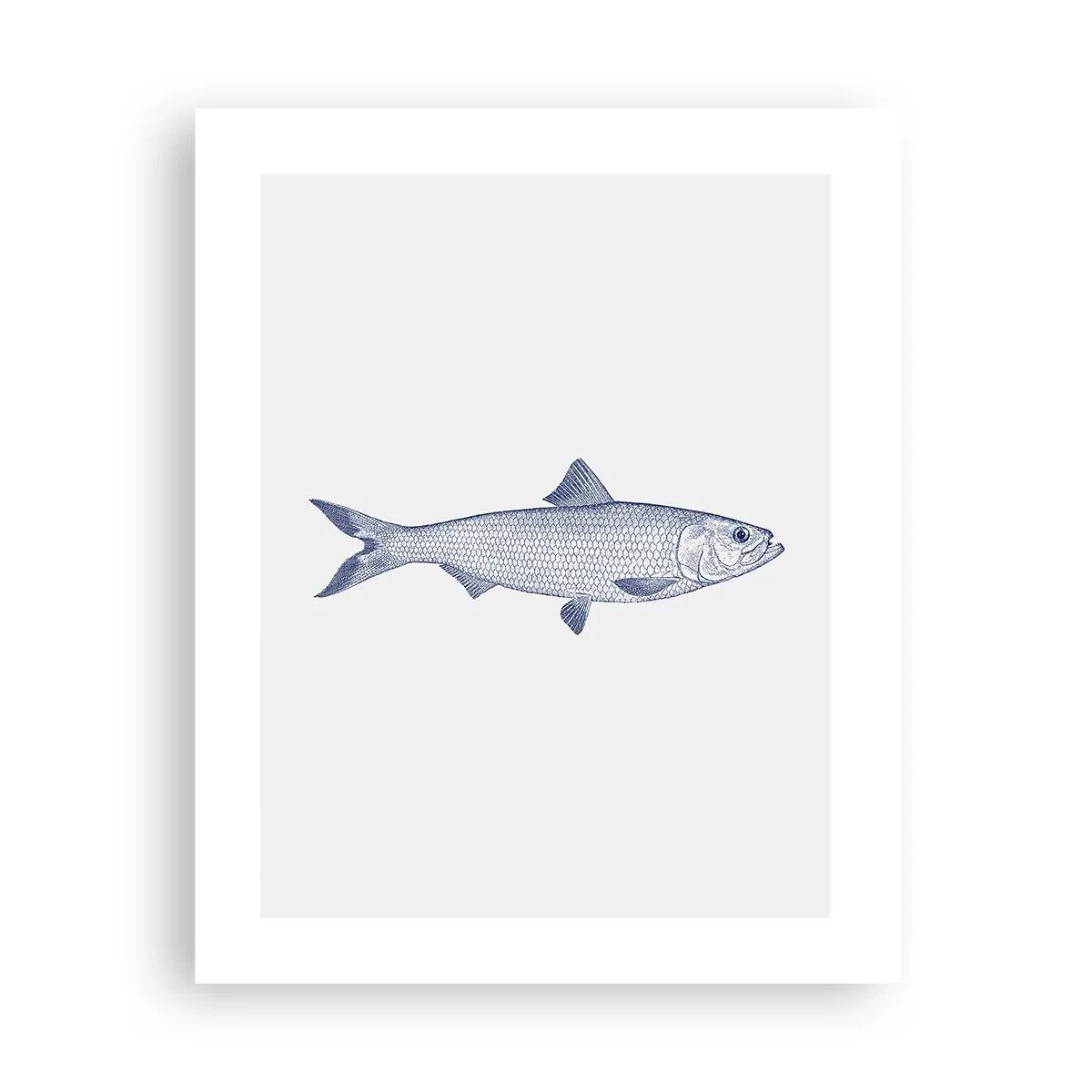 Plakat - Pozdrowienia z północnych mórz - 40x50 cm