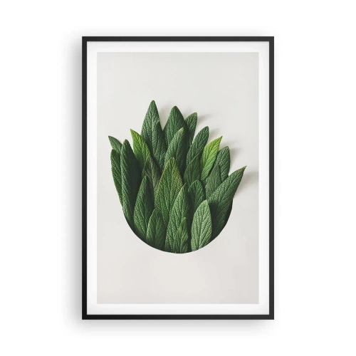 Plakat w czarnej ramie - Nieposkromiona ciekawość - 61x91 cm