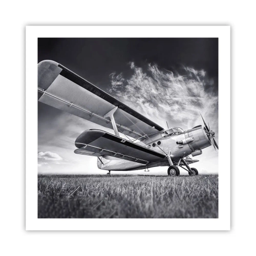 Plakat - Skrzydlaty wędrowiec - 60x60 cm