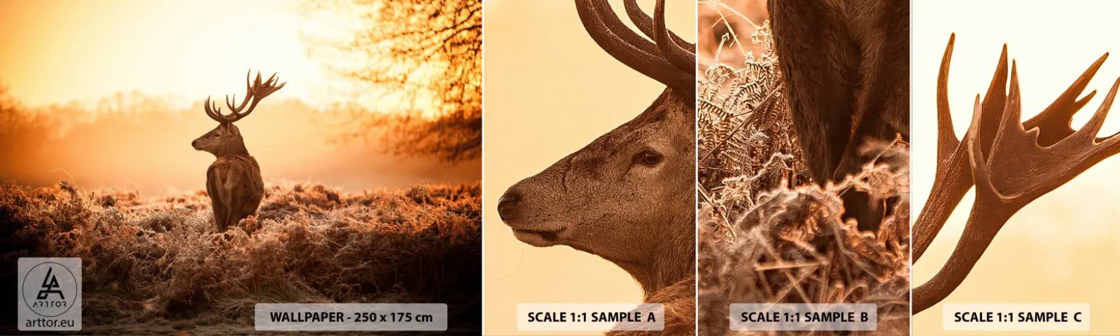 Fototapeta Próbka Samoprzylepna Deluxe Sticker - Pan na włościach - Krajobraz, Jeleń, Zwierzęta - 100x30 cm