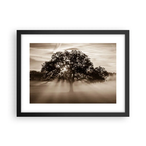 Plakat w czarnej ramie - Drzewo wiadomości samego dobrego - 40x30 cm