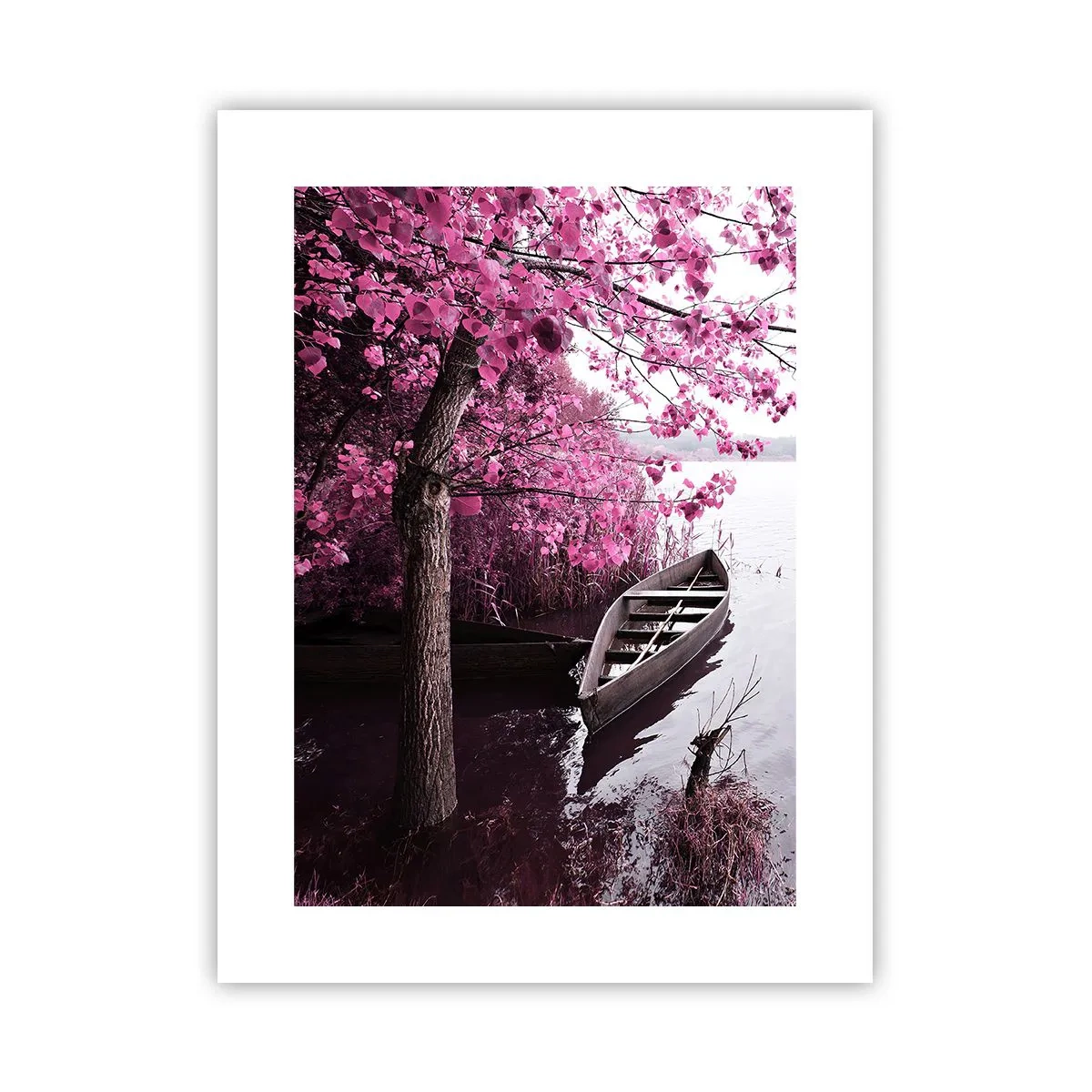 Plakat - W różowej ciszy - 30x40 cm