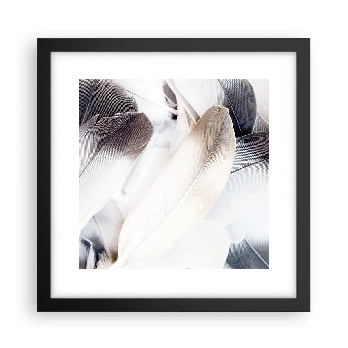 Plakat w czarnej ramie - Niemal anielskie - 30x30 cm