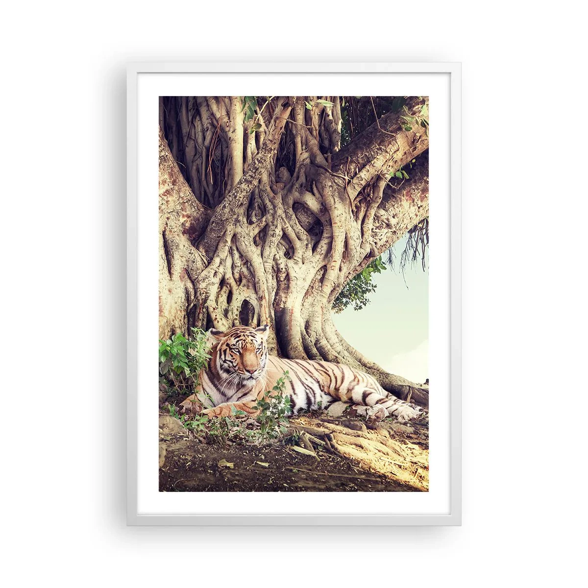 Plakat w białej ramie - Widok z Księgi Rodzaju - 50x70 cm