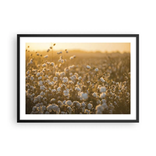 Plakat w czarnej ramie - Pole bawełny w ciepłym świetle zachodzącego słońca - 70x50cm - Puszyste pole - Nowoczesna dekoracja ścienna do salonu i sypialni ARTTOR