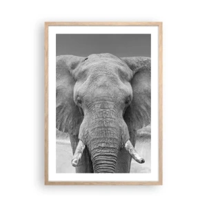 Plakat w ramie jasny dąb - Witaj w moim świecie - 50x70 cm