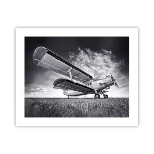 Plakat - Skrzydlaty wędrowiec - 50x40 cm