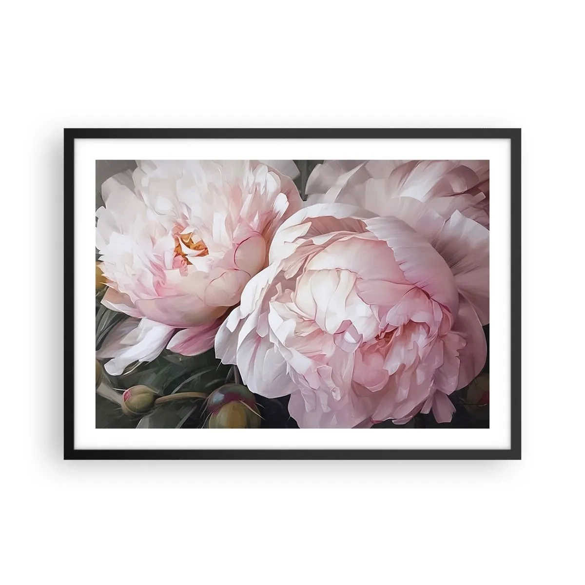 Plakat w czarnej ramie - Delikatne różowe piwonie w pełnym rozkwicie - 70x50cm - Zatrzymane w rozkwicie - Nowoczesna dekoracja ścienna do salonu i sypialni ARTTOR