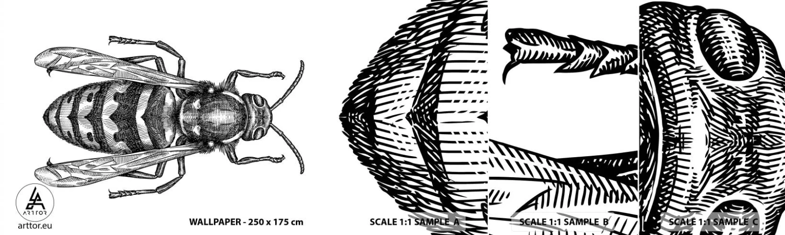 Fototapeta Próbka Standard Eco - Z owadziej planety - Osa, Owad, Minimalistyczny - 100x30 cm