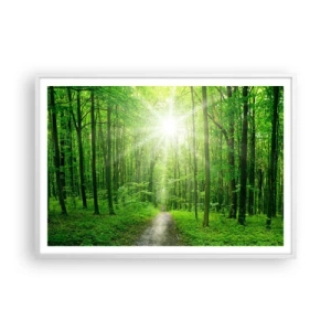 Plakat w białej ramie - Zielona katedra - 100x70 cm