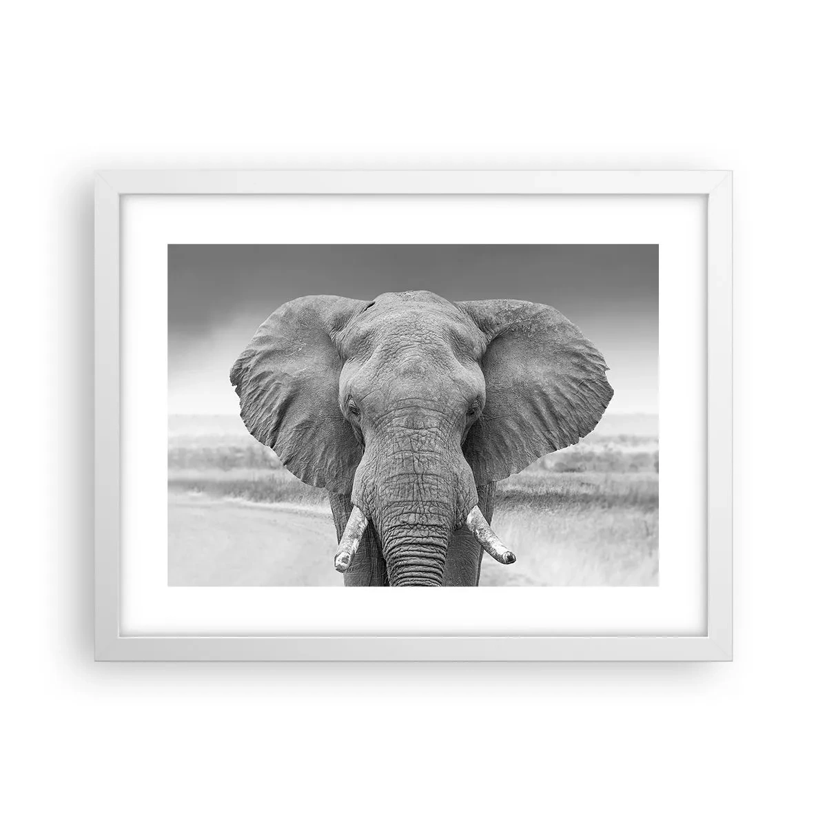 Plakat w białej ramie - Witaj w moim świecie - 40x30 cm