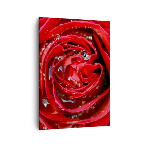 Obraz na płótnie - Czerwona róża z kroplami rosy w zbliżeniu - 50x70cm - W kroplach rosy - Nowoczesna dekoracja ścienna do salonu, kuchni i sypialni ARTTOR