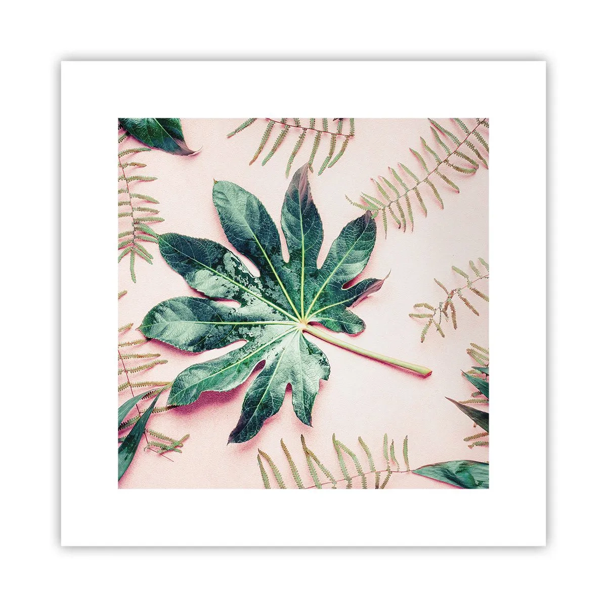 Plakat - Studium zieleni na różowym tle - 30x30 cm