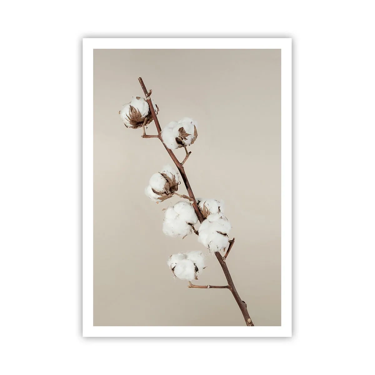 Plakat - U źródła miękkości - 70x100 cm