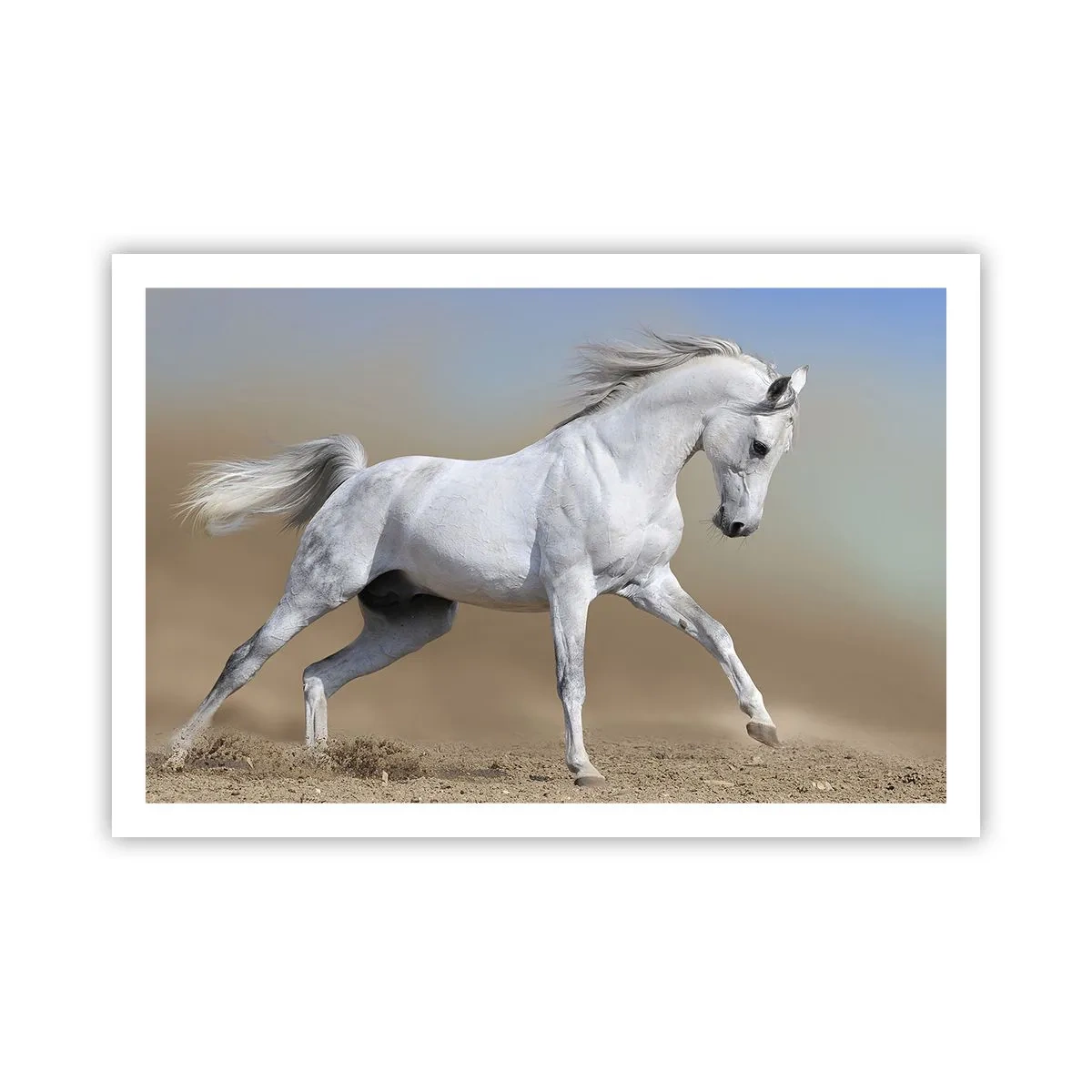 Plakat - Najpiękniejsza arabska baśń - 91x61 cm