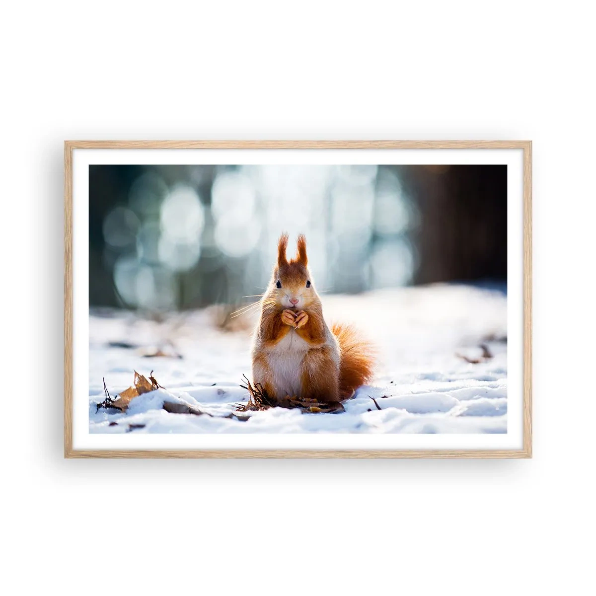 Plakat w ramie jasny dąb - I co tak patrzysz? - 91x61 cm