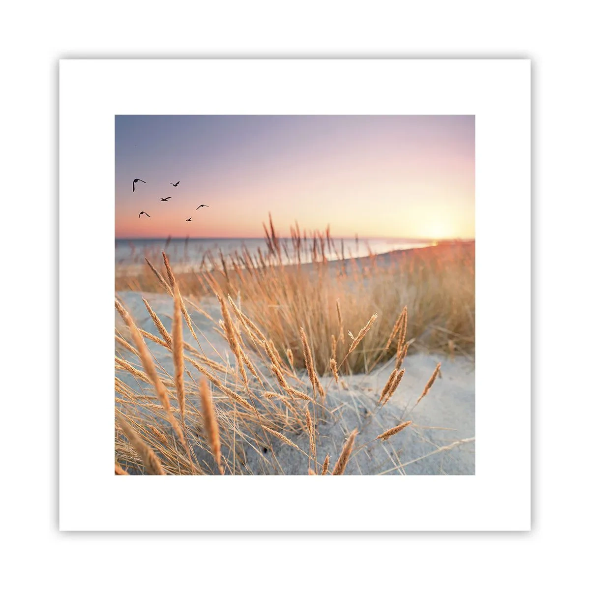 Plakat - Bałtycka kołysanka - 30x30 cm