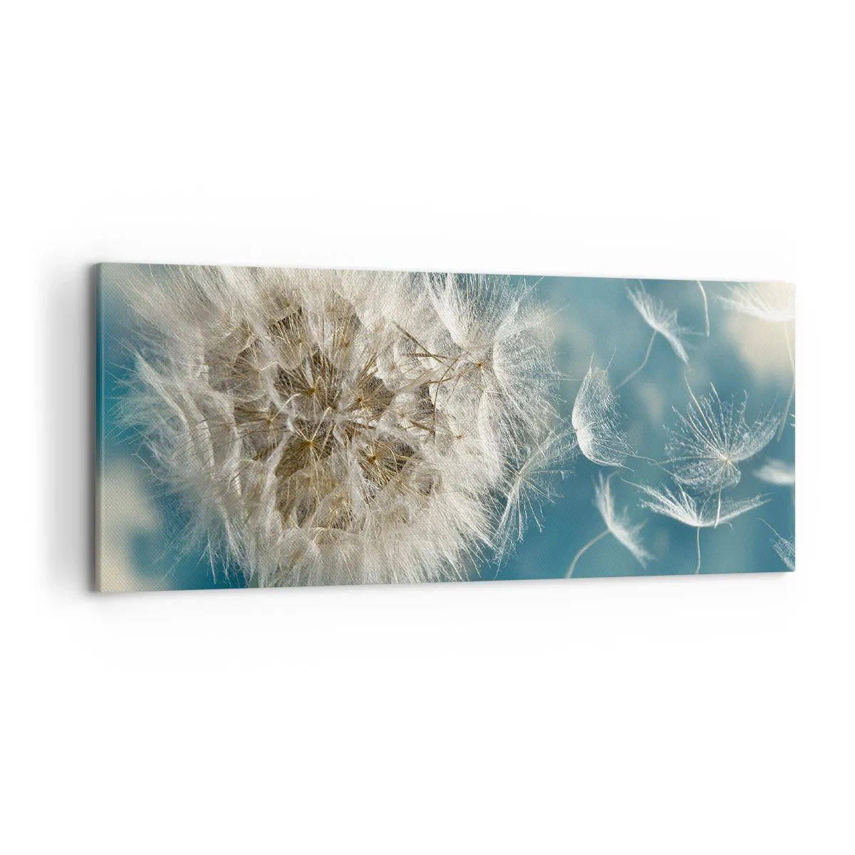 Obraz na płótnie - Zdmuchiwany dmuchawiec na tle niebieskiego nieba - 120x50cm - Oddech anioła - Nowoczesna dekoracja ścienna do salonu i sypialni ARTTOR