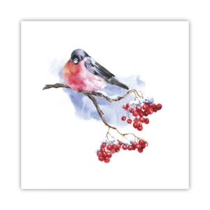 Plakat - Zima w kolorze - 40x40 cm