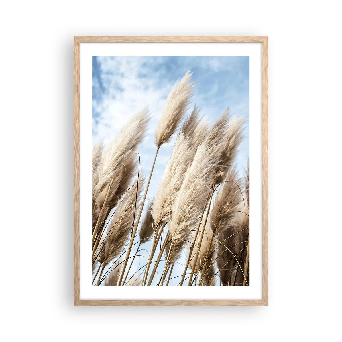Plakat w ramie jasny dąb - Słoneczna i wietrzna pieszczota - 50x70 cm