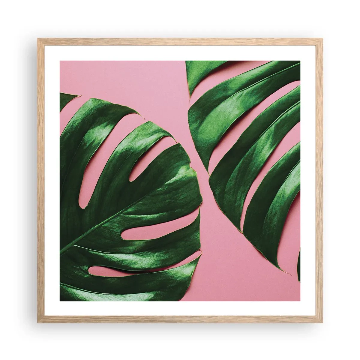 Plakat w ramie jasny dąb - Zielone rendez-vous - 60x60 cm