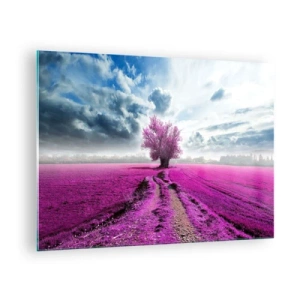 Obraz na szkle - Drzewo na wrzosowym polu pod dynamicznym niebem - 70x50cm - Wrzosowisko - uroczysko - Nowoczesna dekoracja ścienna do salonu i sypialni ARTTOR
