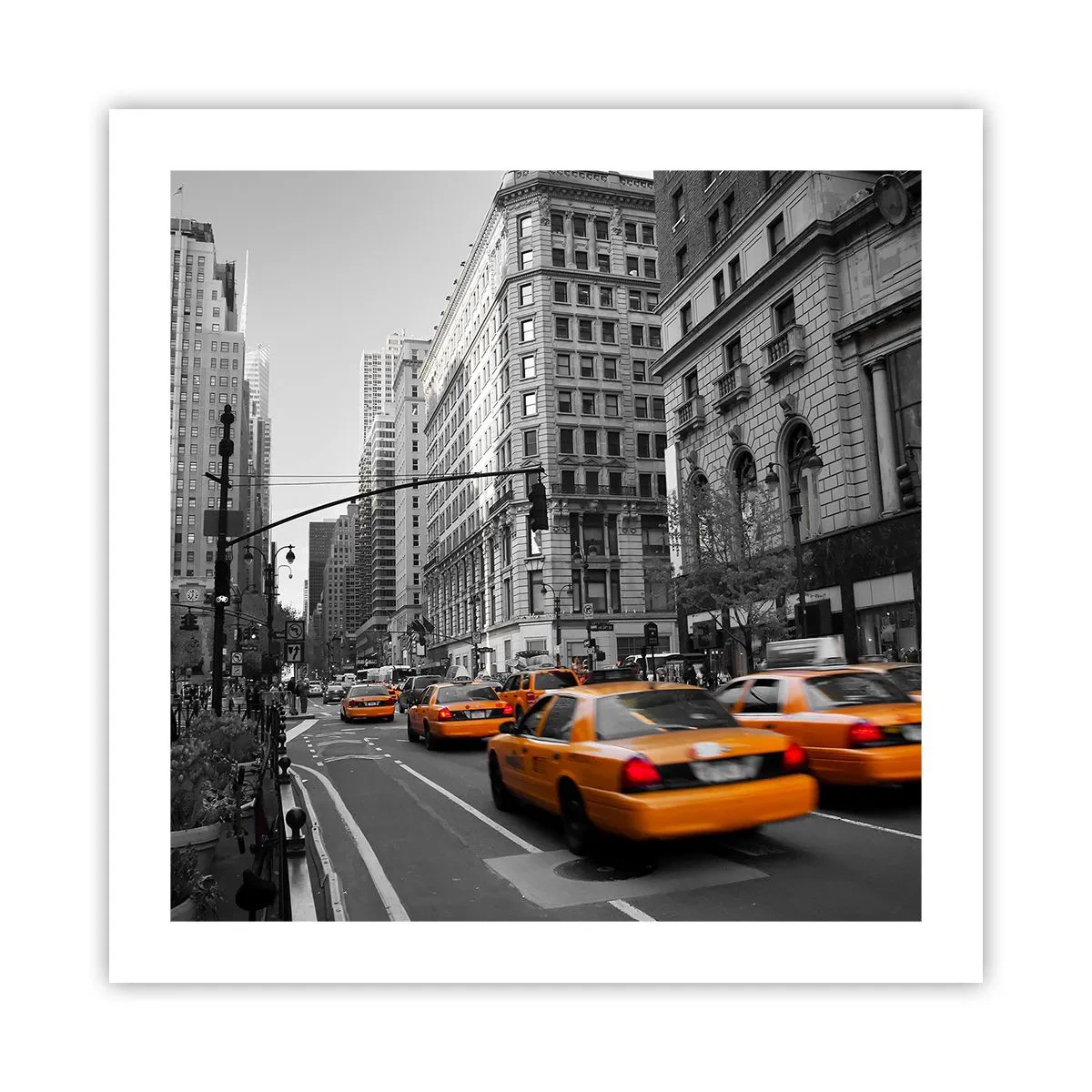 Plakat - Słońca wielkiego miasta - 50x50 cm