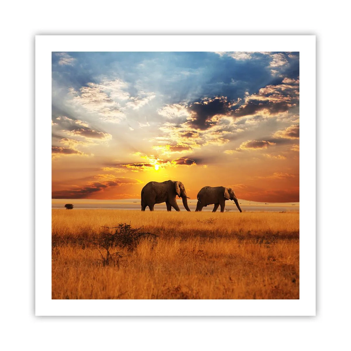 Plakat - Rodzinna przechadzka - 60x60 cm