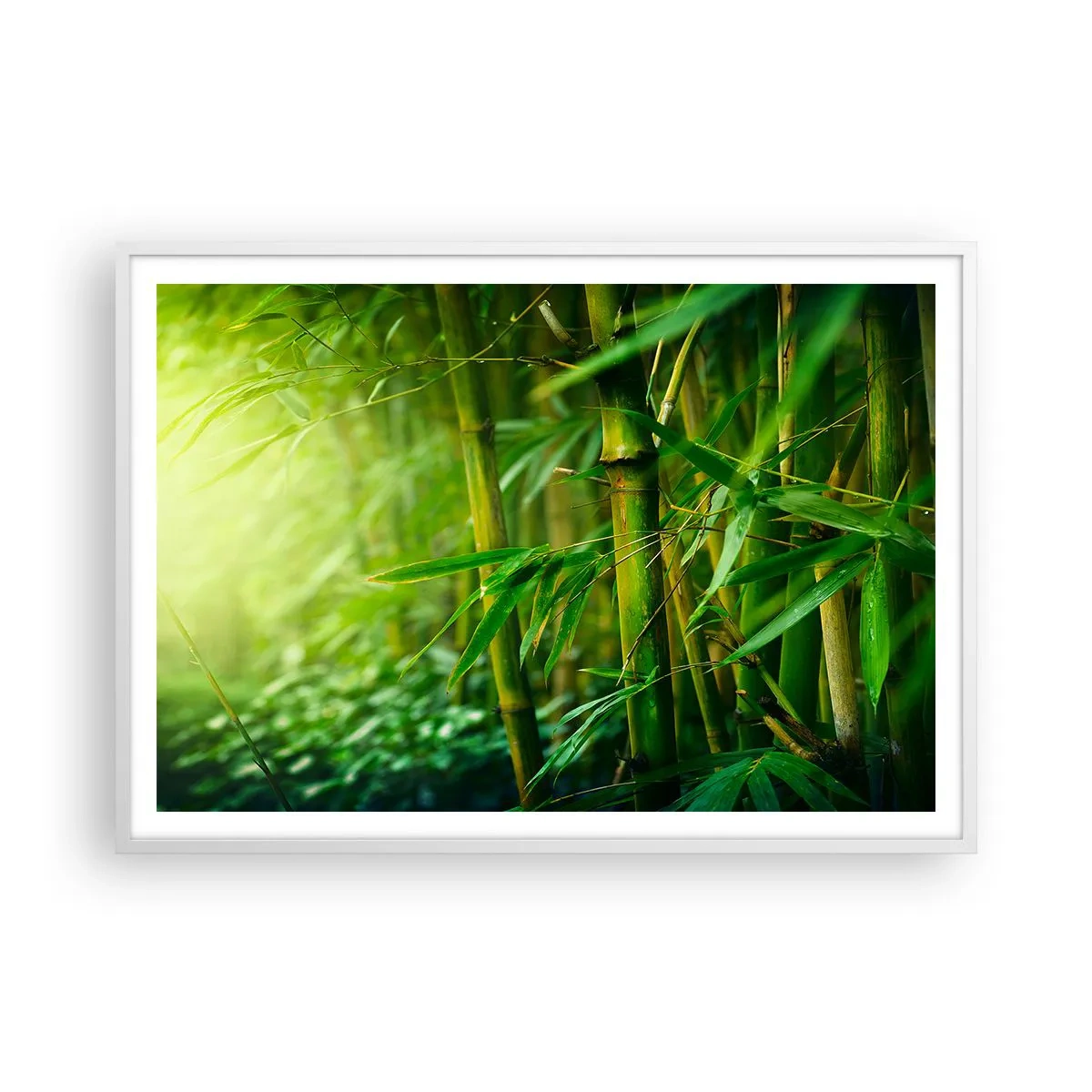 Plakat w białej ramie - Poznać zieleń samą w sobie - 100x70 cm