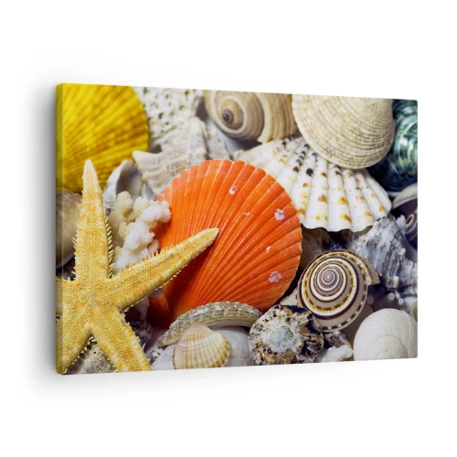 Obraz na płótnie - Muszle i rozgwiazda w kompozycji morskiej - 70x50cm - Skarby oceanu - Nowoczesna dekoracja ścienna do salonu i sypialni ARTTOR