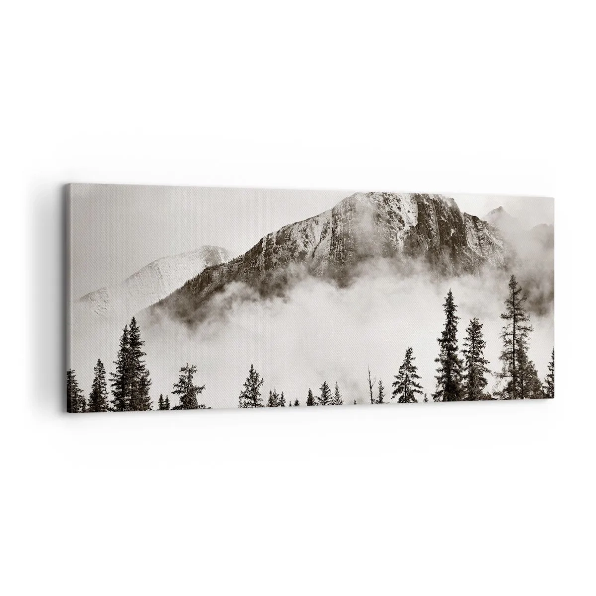 Obraz na płótnie - Granitowy władca - 100x40 cm