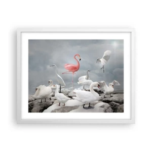 Plakat w białej ramie - Skąd się tu wziąłem? - 50x40 cm