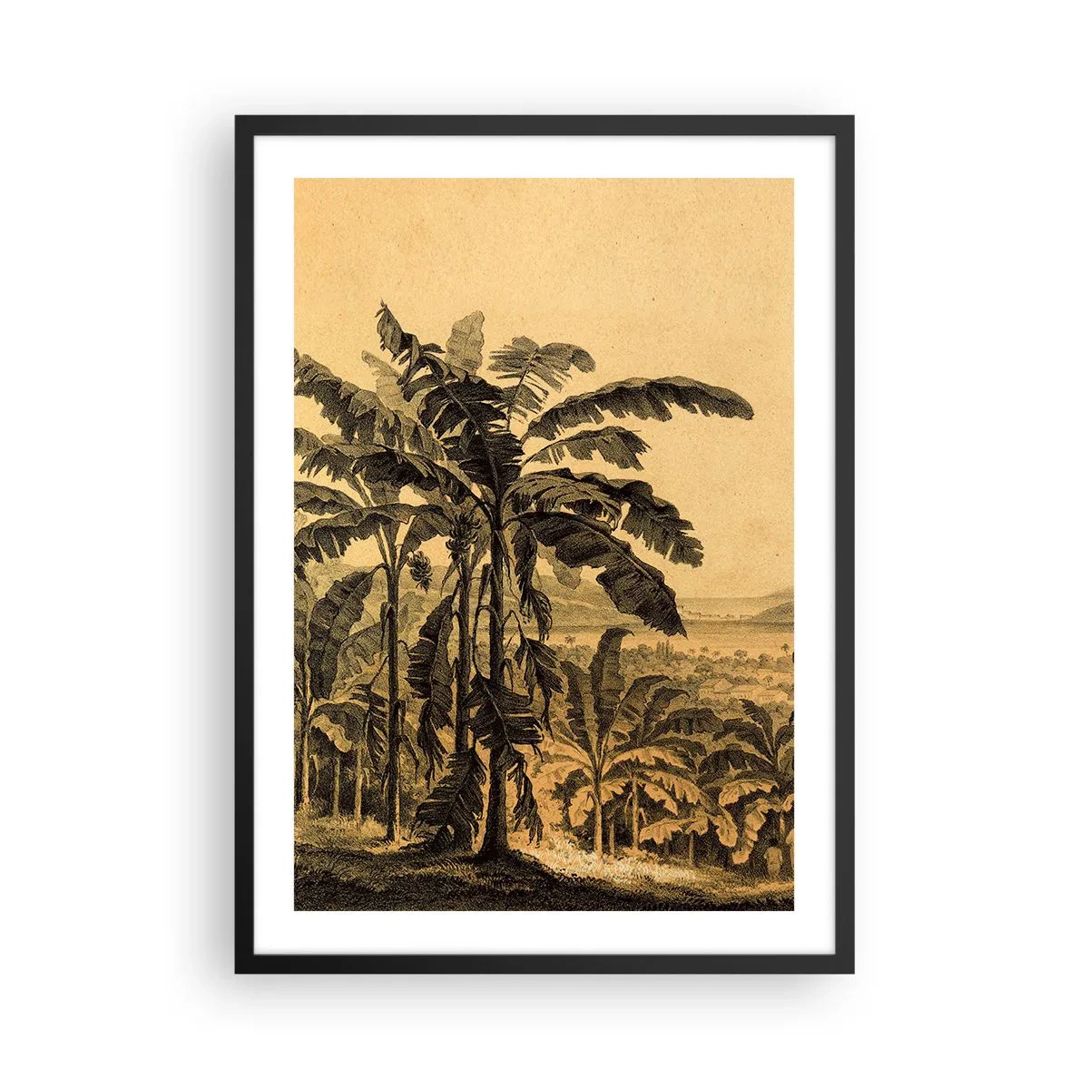 Plakat w czarnej ramie - Ilustracja palm na tle tropikalnego krajobrazu - 50x70cm - w kolonialnym klimacie - Nowoczesna dekoracja ścienna do salonu i sypialni ARTTOR
