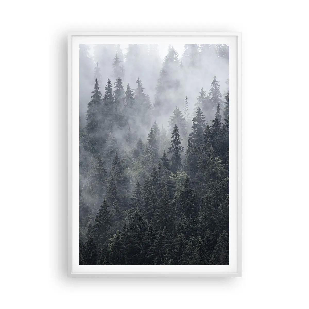 Plakat w białej ramie - Leśny świt - 70x100 cm