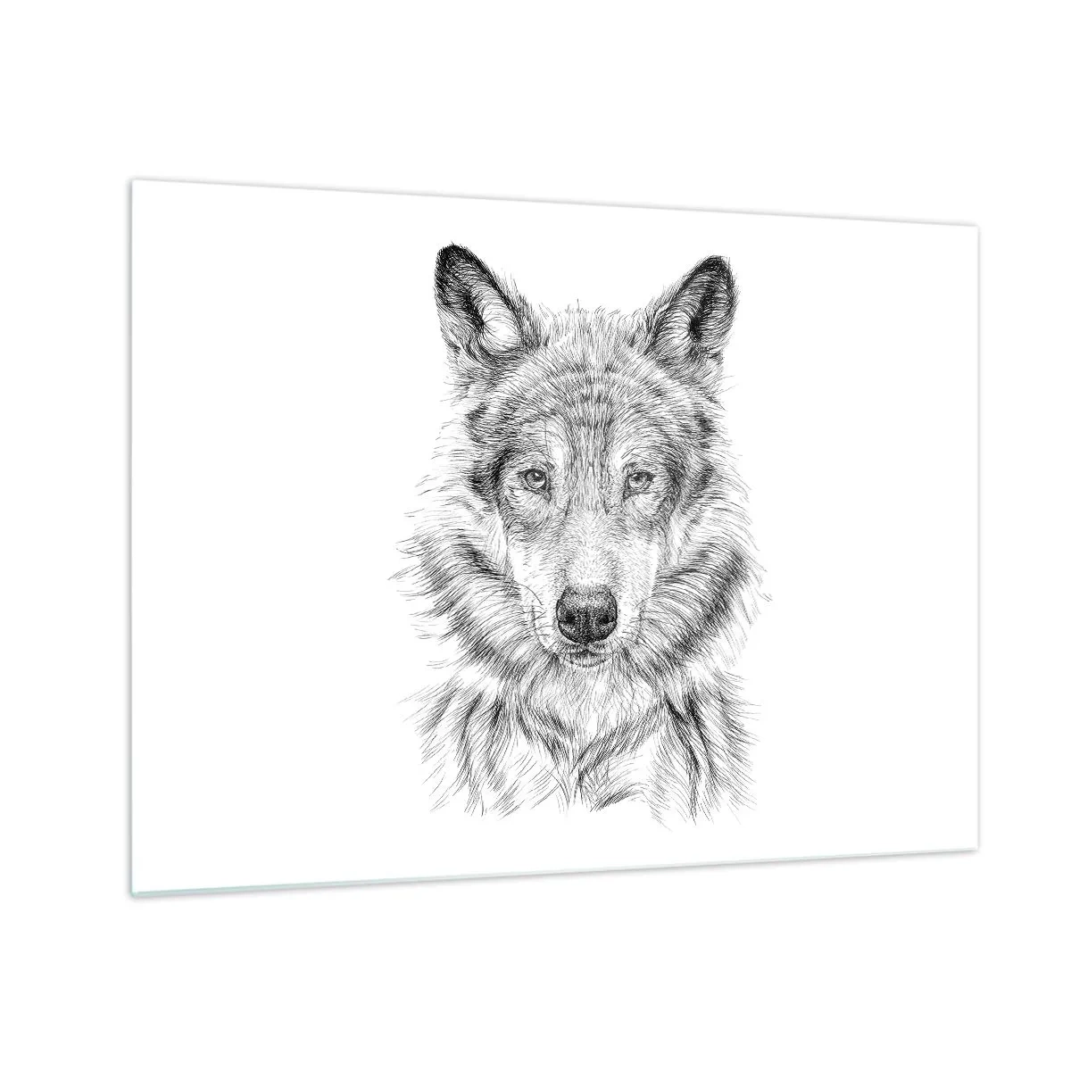 Obraz na szkle - Czarno-biały szkic głowy wilka na białym tle - 70x50cm - Urodzony przywódca - Nowoczesna dekoracja ścienna do salonu i sypialni ARTTOR