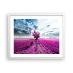 Plakat w białej ramie - Wrzosowisko - uroczysko - 50x40 cm