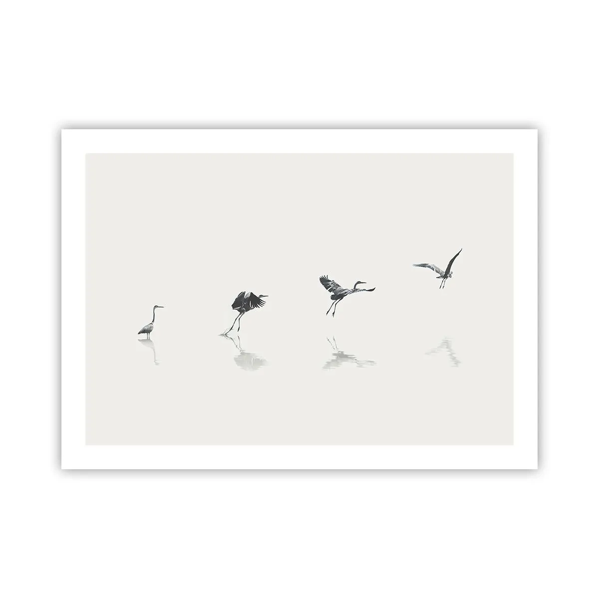 Plakat - Cztery proste kroki - 70x50 cm